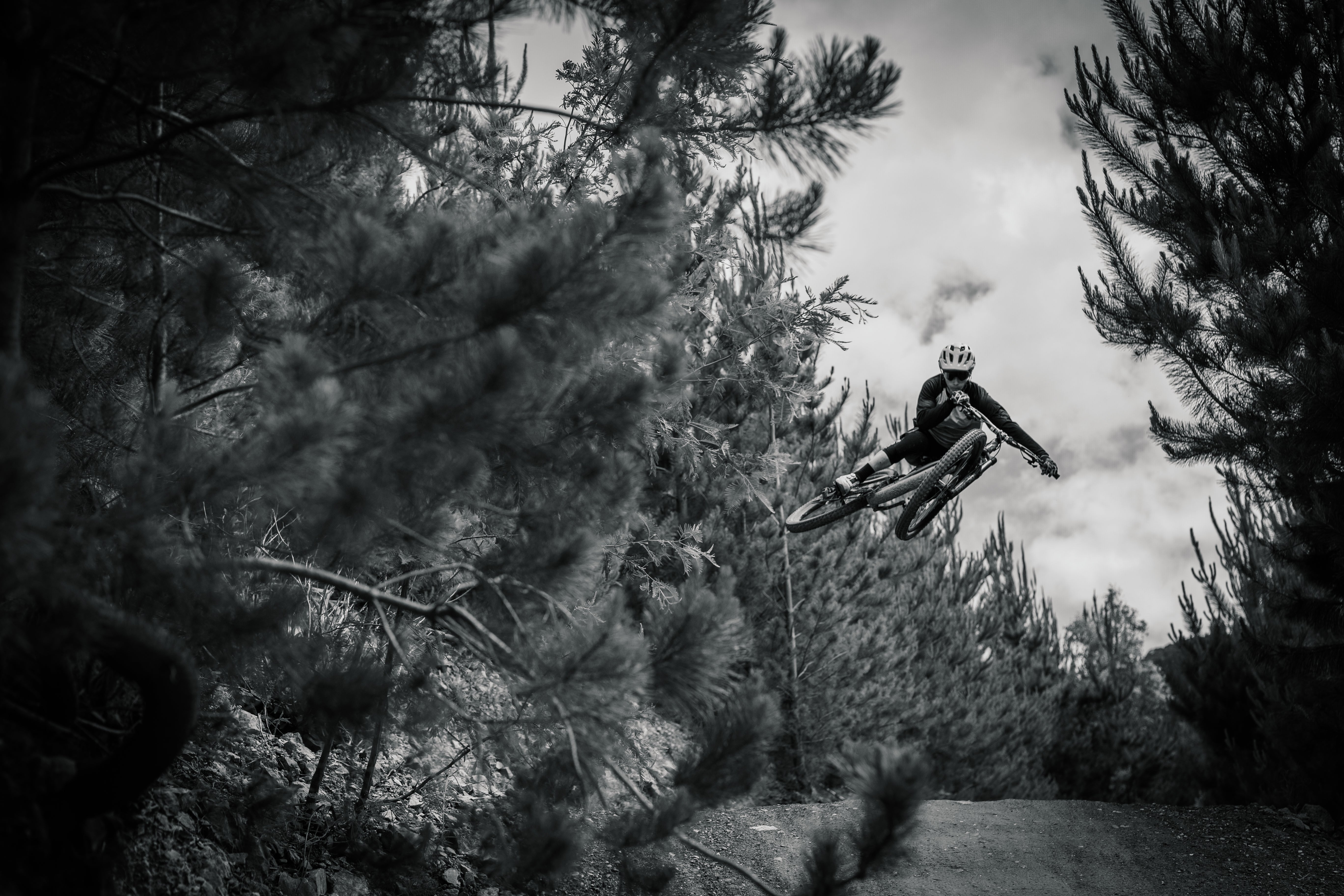 Mountain Bikes
